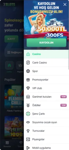 7Slots casino